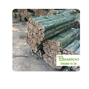 Bambou Trung Son Thanh Hoa |   BEST-SELLER |   Bambou fendu de 34 pouces pour barrière anti-mauvaises herbes et usage en jardin - Product Image 1