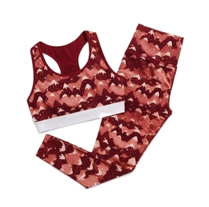 Ensemble de yoga imprimé en Spandex pour femme – Soutien-gorge de sport et leggings taille mi-haute avec logo frontal – Tenue de sport deux pièces respirante de haute qualité - Product Image 6