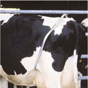 อุปกรณ์ป้องกันวัวเตะแบบขายส่ง ทำจากสแตนเลส อลูมิเนียม พลาสติก สำหรับใช้ในฟาร์มเพื่อความปลอดภัยในการรีดนม - Product Image 2