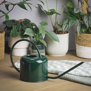 Arrosoir en fer de qualité supérieure, finition résistante à la rouille, avec bec long et étroit, parfait pour les plantes succulentes, les plantes d'intérieur et le jardinage en extérieur - Product Image 1