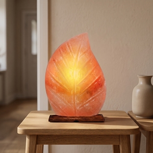 Himalayan Salt <b>Leaf</b> Shape Lamp Natural Pink Crystal Table <b>Light</b> Hand Carved Decorative Lighting for Bedroom Living Room - Product Image 5