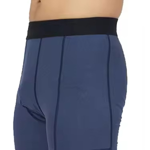 Shorts Vale Tudo pour l'entraînement athlétique et les arts martiaux – Équipement de fitness haute performance - Product Image 3