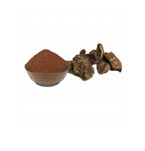 Extracto Seco de Kaiphal de Alta Calidad, Polvo Natural Derivado de la Corteza de Myrica Nagi, Ingrediente Vegetal Ideal para el Procesamiento de Alimentos, Nutriente - Product Image 1