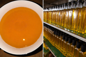 Huile de tournesol pressée à froid 100% naturelle fractionnée pour la cuisine, les soins de la peau et les massages - Mme Mirabel - Product Image 2