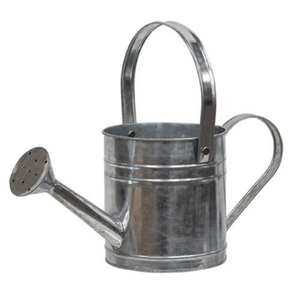 Arrosoir en acier galvanisé écologique, en métal argenté, pour plantes de jardin intérieures et extérieures, prix de gros - Product Image 4