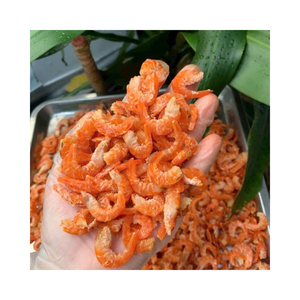 Camarones Secos Naturales de Vietnam al por Mayor, Camarones Pequeños Deshidratados para Comercios Asiáticos y Servicios de Alimentos - Product Image 5