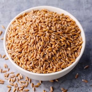 Graines de blé dur séchées offrant des grains durs de haute qualité pour une approvisionnement fiable en semences, la fabrication de pâtes, la production de semoule et la production de céréales - Product Image 4