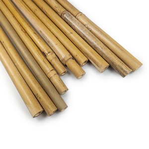 Poteaux en bambou de haute qualité, coût direct provenant de la ferme du Vietnam, poteaux bruts naturels pour la construction - Product Image 6