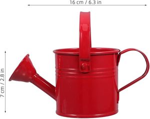 Arrosoir rustique de marque privée pour la décoration de jardin de style campagnard et l'arrosage quotidien des plantes extérieures, au look vintage - Product Image 5