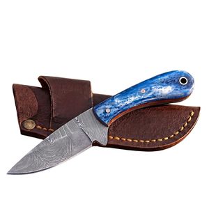 Cuchillos de Caza Duraderos con Hoja de Acero Afilada y Mango Ergonómico para Actividades al Aire Libre, Camping, Senderismo y Caza - Product Image 1
