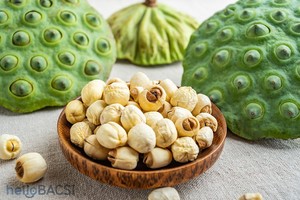 Semillas de Loto al por Mayor – Ingrediente Alimenticio Natural, Fabricante de Vietnam, Alta Calidad // Sr. Tom - Product Image 6