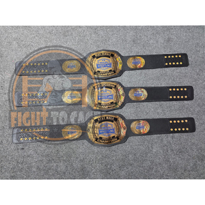 Crea tu propio logo, cinturón a precio económico, ligero, duradero, para lucha libre, boxeo, artes marciales mixtas, cinturones de campeonato para niños, cinturones para adultos. - Product Image 5