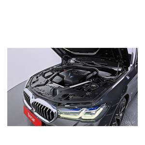 BMW Serie 5 530i XDrive M Sport 2023, Volante a la Izquierda, Caja de Cambios Automática, 40,153 km - Product Image 6