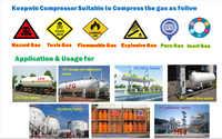 Compresseur de biogaz 16 bar 24 bar 10 bar Compresseurs GPL Type piston Moteur lubrifié Machine de remplissage de biogaz GNL GPL Pétrole liquide