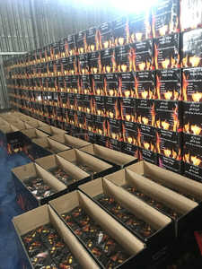 Carbón activado de briquetas de cáscara de coco súper blanco de alta calidad para todos los métodos de uso de narguile en Arabia Saudita - Product Image 6