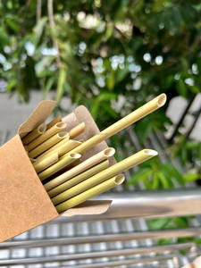 Suministros ecológicos, pajitas de hierba, venta al por mayor, embalaje personalizado de alta calidad/pajitas de hierba desechables, embaladas individualmente en papel - Product Image 6