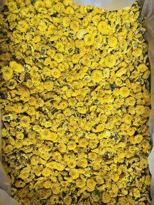 Flor de Crisantemo Seca, Té de Hierbas de Flor de Crisantemo Seca, Flor de Margarita Comestible Natural, Crisantemo Seco de Vietnam 2026 - Product Image 2