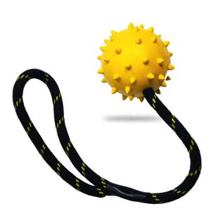 Interactive Durable TPR Chien Jouet Coton Corde Formation Balle À Mâcher pour Chats Dents Nettoyage et Jouer - Product Image 4