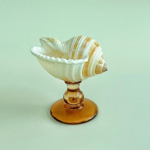 Verre à vin en verre et coquillage de mer au design haut de gamme, à prix de gros compétitifs, adapté aux marchés d'exportation mondiaux - Product Image 5