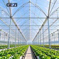 Serre agricole multi-travées à arche gothique, structure en acier galvanisé avec couverture en film plastique pour la culture de légumes et de plants