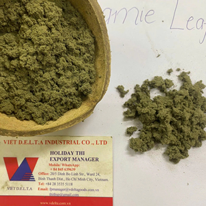Poudre de feuilles de ramie 100% naturelle lyophilisée pour la coloration et le garnissage des wraps de riz, 1 kg ou emballage personnalisé, marque VietDelta - Product Image 1
