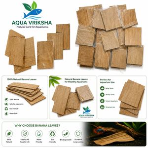 AQUA VRIKSHA Hojas de Plátano Naturales Secas de 5x5 Pulgadas para Plantas Acuáticas, Acuarios de Camarones y Acuarios de Agua Oscura | Paquete de 10 - Product Image 1