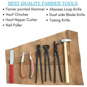 Kit de Equipo Comercial para Herrador con Cortador de Pezuñas, Martillo para Pezuñas, Cuchillo de Punta Recta, Cuchillo de Doble Hoja, Herramienta para Clavar y Sacar Clavos - Product Image 2
