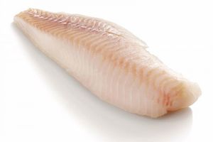 Poisson Hake Congelé pour la Transformation et le Reconditionnement - Product Image 6