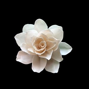 ดอกไม้ไม้โซลา VADEE SOLA WOOD FLOWER VDXXX-041 งานฝีมือทำมือ ดอกไม้ไม้โซลา YAYA ขนาด 8-8.5 ซม. ก้านใยพืชเซสบานีอา สำหรับอโรมาเธอราพี - Product Image 3