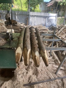 Piquets en bois d'eucalyptus naturel à prix abordable, à une extrémité pointue, robustes, pour l'agriculture, le jardinage et le soutien des plantes - Product Image 4