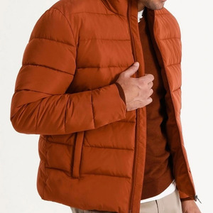 Chaqueta de Plumón para Hombre, Estilo Urbano Moderno, para Invierno, con Aislamiento Suave, Chaqueta de Plumón Elegante para Hombre - Product Image 1