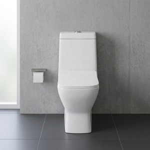 Luxury One Piece Ceramic Water Closet With Dual Flush System For Modern Middle East Hospitality Projects - Product Image 5