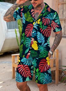 Ensemble chemise et short pour homme, imprimé, manches courtes, boutonné, assorti, été, plage, vacances, coloré - Product Image 5