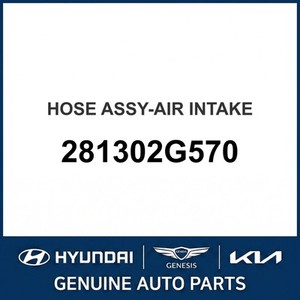 ไส้กรองอากาศแมเจนติส รุ่นใหม่ 281302G570 - Product Image 1