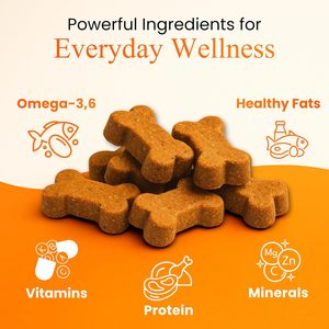 Compléments multivitaminés premium à croquer pour chiens : Nutrition quotidienne, soutien immunitaire, santé de la peau et du pelage, digestion optimale – OEM, ODM, marque privée, vente en gros - Product Image 3