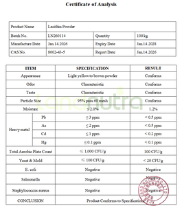 Poudre de lécithine de soja de qualité alimentaire, émulsifiant pour aliments, boissons et compléments alimentaires - Product Image 3