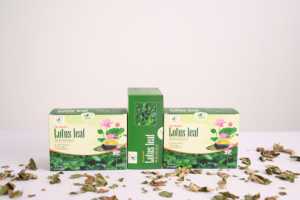 Thé de santé à base de feuilles de lotus biologiques de qualité supérieure 100% pur du Vietnam, 50 sachets de thé - Product Image 5