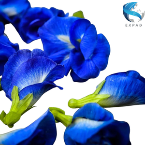Flores de Mariposa Secas a Granel Estándar, Pétalos Azules Naturales, Té Herbal Orgánico Adelgazante, Empaque al Vacío, Suministro de Bebidas de Vietnam - Product Image 1