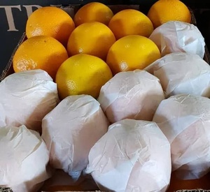 Mandarinas Valencia Frescas de Alta Calidad Premium, Cítricos de 25 kg y 30 cm, Cultivadas por Proveedores de Temporada - Product Image 3