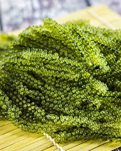 Raisins de mer de haute qualité – Frais, propres et prêts à consommer, caviar vert - Product Image 6
