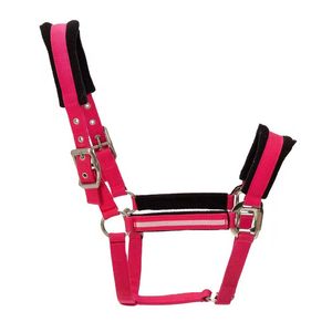 Luxury Designer Horse <b>Halter</b> – Stylish Modern Equestrian Fashion - Product Image 3