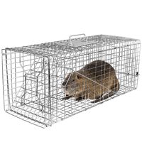 Piège à animaux vivants pliable en fil de fer galvanisé pour attraper les rongeurs, les ratons laveurs, les castors, les renards - Fournitures pour petits animaux