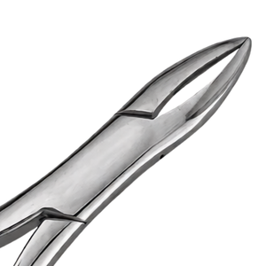 Forceps d'extraction dentaire manuels en acier inoxydable # 1 pince ergonomique pour incisives supérieures et canines, certifiée CE - Product Image 4