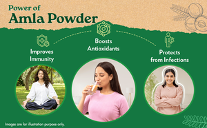 Poudre de graines d'Amla biologique WARRLY 200g 99% pure, qualité alimentaire, extrait végétal, améliore l'immunité et stimule les antioxydants - Product Image 4