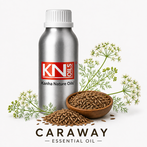 Kanha น้ำมันหอมระเหยเมล็ดยี่หร่าธรรมชาติคุณภาพสูงใช้สำหรับร่างกาย - Product Image 1