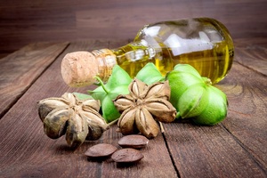 Huile de Sacha Inchi pure et naturelle, riche en Oméga 3, 6 et 9, pour les soins de santé et de beauté. - Product Image 1