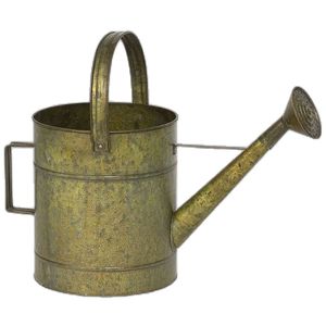 Vintage Galvanized <b>Metal</b> Watering Can - Rustic Antique Gold Finish Long Spout Garden Water Pot <b>for</b> Indoor Outdoor Plants Flowers - Product Image 1