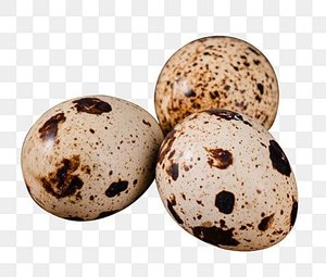 ไข่นกกระทาเวียดนามเดลต้าบรรจุกระป๋อง ขายดี โปรตีนสูง พร้อมรับประทาน บรรจุภัณฑ์รักษ์โลก อายุการเก็บรักษา 24 เดือน 30 ชิ้น สำหรับส่งออก - Product Image 1