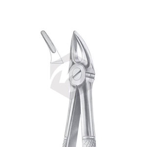 Pinzas de Extracción de Molares Inferiores de Calidad Premium para Niños, Diseño Pediátrico Dental para Dientes de Diferentes Tamaños, Extracción Segura de Dientes - Product Image 6