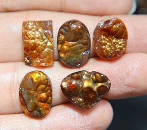 Natural Mexican Fire Agate Smooth Cabochon Druzy Mix Shape Stone for Jewelry - Product Image 3